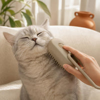 A relaxed cat being groomed with the PITU'S PAWS steam brush